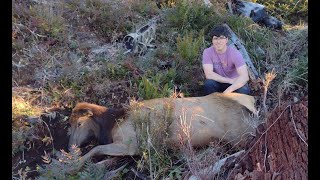 justins oregon cow elk hunt 2024 [upl. by Meesan776]