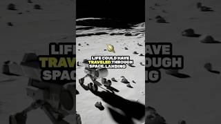 Panspermia Theory youtubeshorts shorts short theory space universe earth astronomy life [upl. by Ylatfen519]