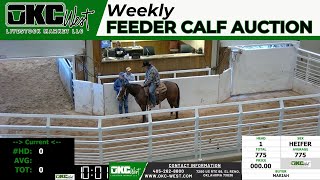 11132024  OKC West Feeder Calf Auction [upl. by Astred]