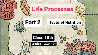 Class 10  Biology  Chapter 1  Life Process  Types of Nutrition Part 2 [upl. by Eniortna]