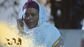 ሙሉ ክፍል 6 – አደይ  ምዕራፍ 1  ክፍል 6  አቦል ቲቪ – Adey  Season 1  Episode 6  Abol TV [upl. by Routh189]