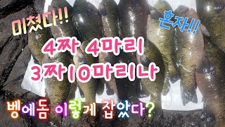 벵에돔 수중여에 붙어있다 89회 Opaleye Rock fishing palos verdes [upl. by Capps]