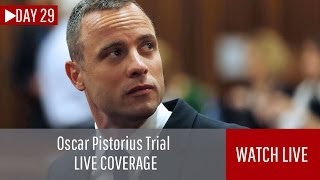 LIVE Oscar Pistorius trial day 29 completed [upl. by Larianna]