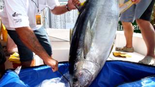 Ahi Fever 2011 [upl. by Eolc]