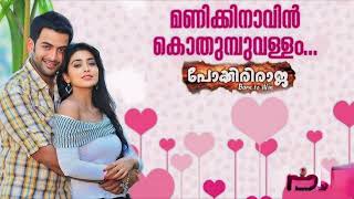 Manikinavin Pokkiri Raja Jassie Gift High Quality Song [upl. by Agarhs]