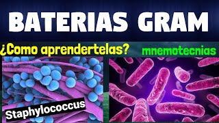 MNEMOTECNIA BACTERIAS GRAM POSITIVAS Y BACTERIAS GRAM NEGATIVAS [upl. by Naahsar700]