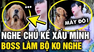 Nghe con sen kể lại TUỔI THƠ BÁO ĐỜI của mình cờ hó có THÁI ĐỘ khiến dân mạng CƯỜI XĨU  Tin 3 Phút [upl. by Scharf]