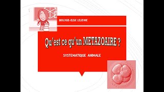 Présentation des Métazoaires [upl. by Yarod]