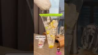 ThatLittlePuff makes a fruity cream liqueur 🩷 cat drink satisfying recipe [upl. by Eldorado]