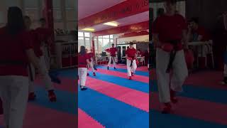 Spinning back fist karate sparring [upl. by Esinad244]