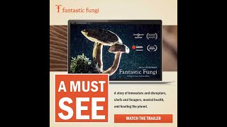 Fantastic Fungi Trailer [upl. by Suoicserp]