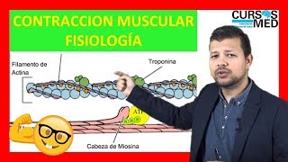 CONTRACCIÓN MUSCULAR FISIOLOGÍA GUYTON explicada FACIL ✅ [upl. by Aydiv]