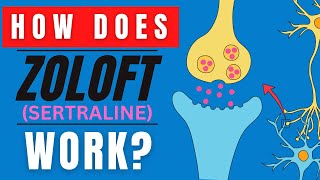 HOW DOES ZOLOFT WORK SERTRALINE MEDICATION FUNCTION EXPLAINED [upl. by Nauq]