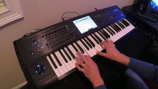 Seal Crazy Keyboard Cover [upl. by Orsino]