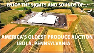 LEOLA PRODUCE AUCTION in Lancasters AMISH LANDIt Spawned a Nationwide Movement for PRODUCE Sales [upl. by Anelegna312]