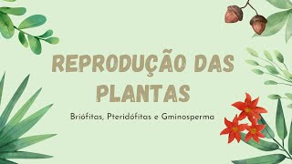 Reprodução das plantas Briófitas Pteridófitas e Gimnosperma [upl. by Aititil376]