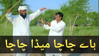 Chacha new song  hain mare chacha meda chacha  TikTok viral song [upl. by Lucille563]