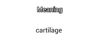 cartilage meaning in English amp Telugu  Googul Dictionary dictionary meanings telugu english [upl. by Thierry200]