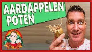 ALLES OVER AARDAPPELEN KWEKEN  Moestuin vlog 157  aardappelen planten aardappelen kweken [upl. by Airotnes368]