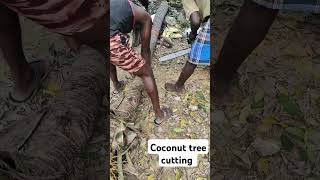 Coconut tree cutting uzhavan da trending tamil [upl. by Nnylsoj]