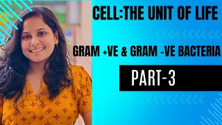 CellThe Unit Of Life Part3Types of Bacteria Gram ve amp Gram veCBSECHSEPGTSSC RAILWAY [upl. by Lincoln]