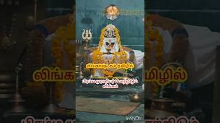 Lingashtakam Tamil spb sivan songs in tamil sivan songs tamil sivan songs sivan padal sivan [upl. by Notyarb645]