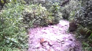 Bajando de Claro de Luna en la Quebrada La Vieja Cerros Orientales Bogotá [upl. by Silrac]