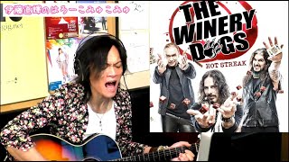 Fire THE WINERY DOGS coverRICHIE KOTZEN cover [upl. by Ahsitruc]