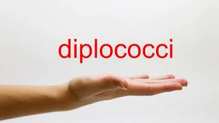 How to Pronounce diplococci  American English [upl. by Llerehc]