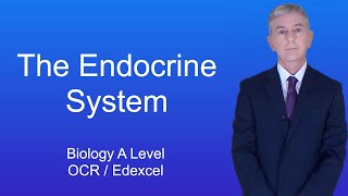 A Level Biology Revision Year 13 quotThe Endocrine Systemquot [upl. by Yahsram]