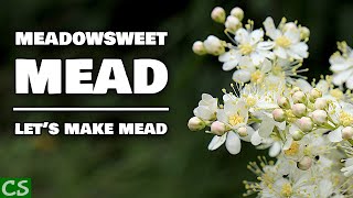 Easy Meadowsweet Mead Recipe How to Make Mead with the ORIGINAL Mead Herb [upl. by Paver]