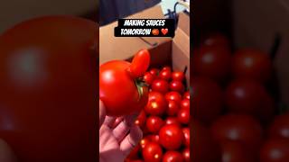 sauce tomato tomatoes heirloom beefsteak farm cooking yummy funny shorts feedshorts us [upl. by Aila]