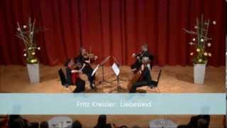 Fritz Kreisler Liebesleid  Nexus Quartett Wien [upl. by Steele562]