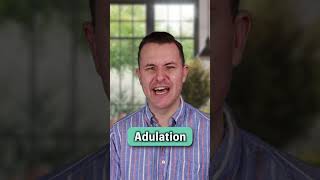 Adulation  Meaning and Pronunciation English Word of the Day englishspeaking learnenglish [upl. by Ellenij]