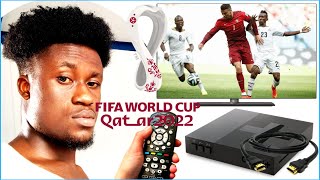 How To Watch World Football Matches On FTA Decoder  Free online [upl. by Alaehcim]