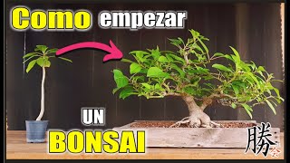 ⚠COMO EMPEZAR UN BONSAI⚠ DESDE CERO ✔ALAMBRADO✔ PODA Y DISEÑO [upl. by Etiuqram]