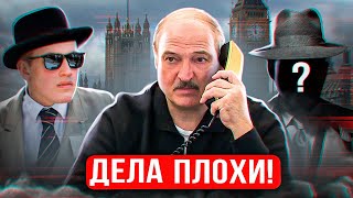 Лукашенко унижается  Война с пенисми  Пчёлыэкстремисты  Экономику трясёт  Новости [upl. by Giorgi]