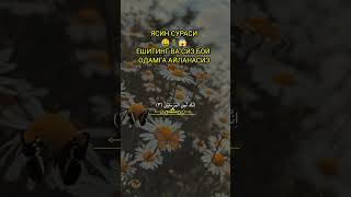 фирман Аллоҳ СурасиЯсинyosinsurasi shortfeed [upl. by Aropizt]