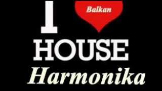 BALKAN HARMONIKA HOUSE MIX 20122013 [upl. by Enivid772]