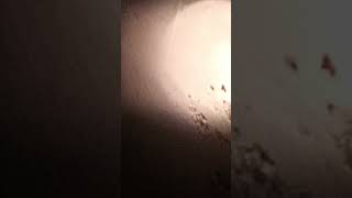 4k Ultra View of Moon in binoculars 700X ZooM [upl. by Austine525]