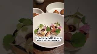 Reviewing my 1000 dinner at a 2Star Michelin restaurant ⭐️⭐️ michelinguide chicago [upl. by Shaper]