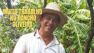 Muita chuva e muito trabalho no Rancho Oliveira [upl. by Elatsyrk602]