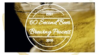 Beer Brewing Process Explained in 60 Seconds [upl. by Edythe]