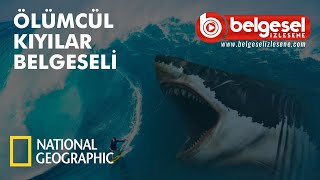 Ölümcül Kıyılar Türkçe Dublaj Belgeseli  Türkçe Dublaj [upl. by Artim]