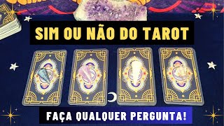 SIM OU NÃO DO TAROT  Conselho  ARIELA TAROT E ORÁCULOS [upl. by Rahel16]