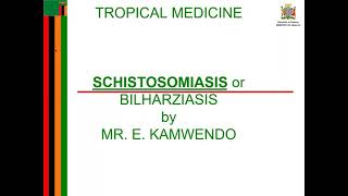 schistosomiasis 1 [upl. by Hedges]