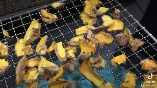 Turmeric drying in dehydrator [upl. by Limaa]