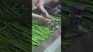 Vegetables served to children are washed insanely clean Safety first [upl. by Atteynad257]