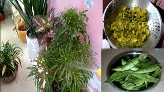 অপূর্ব স্বাদের শিম আলুর নিরামিষShim alur niramish RecipeFlat Bins with potato curry [upl. by Loggins]