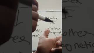 Short trick for FLEMINGS LEFT HAND RULE education magneticeffects science shorts [upl. by Orr93]